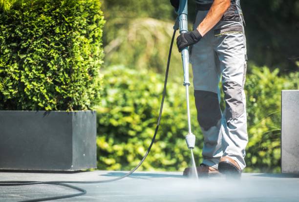 Best Solar Panel Cleaning  in Country Walk, FL