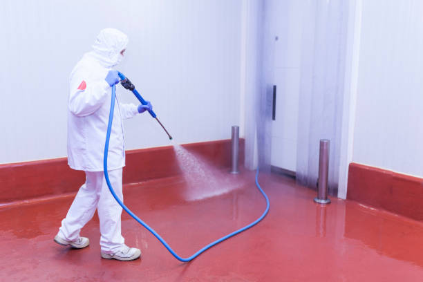 Best Spring Cleaning  in Country Walk, FL