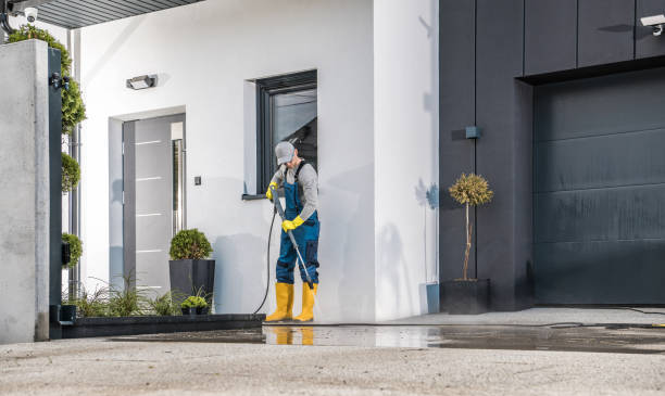 Best Graffiti Removal  in Country Walk, FL